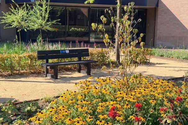 Bankje in park