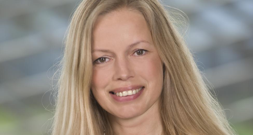 Adviseur Miranda