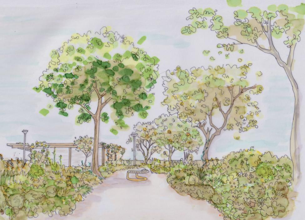 tekening friedel voedselbos