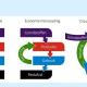 afbeelding schema irculaire economie